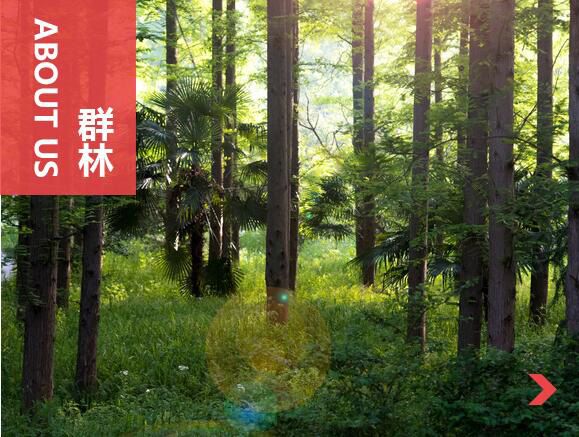 什么叫刨花板？